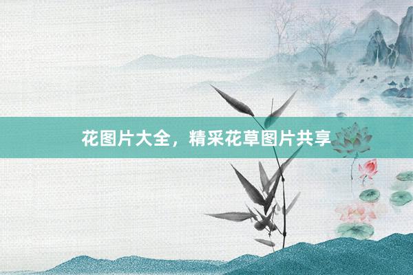 花图片大全，精采花草图片共享