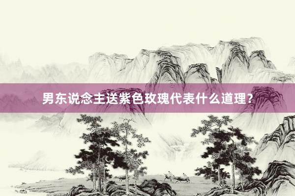男东说念主送紫色玫瑰代表什么道理？